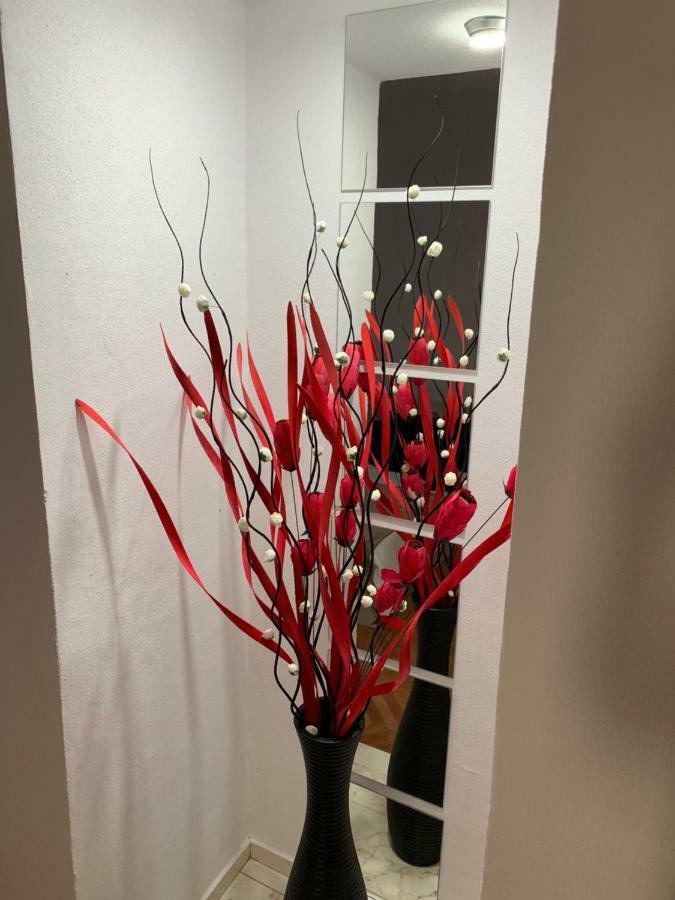36 Central Residence 브라쇼브 외부 사진
